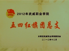 2012年武威職業學院五四紅旗團總支獎