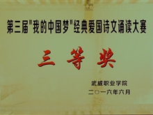 ”我的中國“夢經典愛國詩文誦讀大賽三等獎