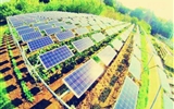 “農光互補”光伏發電模式下的收益分析