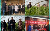 現(xiàn)代農(nóng)業(yè)技術(shù)系開展“喜迎己亥新春佳節(jié)、送科技送文化下鄉(xiāng)”主題黨日活動