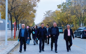 排球競逐 健步同行——武威職業技術大學組織開展教職工文體活動