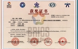 2023年一帶一路暨金磚國家技能發展與技術創新大賽新型電力系統的設計實施賽項一等獎